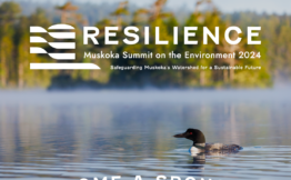 Become a sponsor of the 2024 Muskoka Summit on the Environment